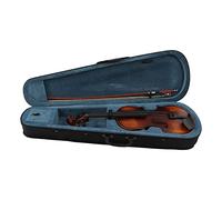 Rankomu Beginners Violins Kit 4/4 Violin Set, Matte Wooden Antique Color Violin for Beginners, Complete String Instrument Kit, AV 508, Includes Bow and Case