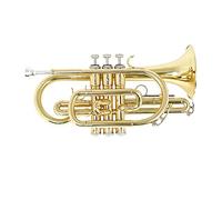 Rankomu Brass Cornet Bb Flat Cornet Brass Wind Instrument, Golden Cornet with Carrying Case, Gloves, Cleaning Cloth, and Brushes, Ideal for Musicians and Students