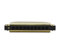 Rankomu harmonica G-20 Mouthorgan, 10 Holes 20 Tones Key of G Blues Harmonica, Includes ABS Case, Wind Instrument for Beginners and Music Lovers, Christmas Gift, Gold