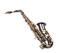 Rankomu Sax Eb Alto Saxophone, Nickel-Plated Brass Body, Engraved Nacre Keys, Woodwind Instrument, Includes Carry Case, Polishing Cloth, Brush, Neck Straps