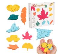 Ranley Shapes Sorting Toy, Wooden Puzzle for Shapes & Figures, Plug-In Game, Educational Fine Motor Skills Training with Nature Recognition & Logical Thinking, Children's Toy from 3 4 5 6 Years