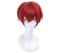 Ranma 1/2 Ranma Saotome Cosplay Wigs 25cm Red Burgundy Short Synthetic Hair Perucas Unisex Cosplay Wig