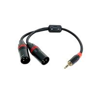 Rannsgeer 3.5mm TRS Stereo to Dual XLR Male Y-Splitter Cable R7Cxx (15 Inch)