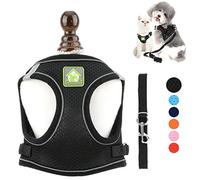 Ranphy Escape Proof Small Dog Harness and Lead Set Adjustable Puppy Cat Step In Mesh Vest No Pull Reflective Solid Color Soft Breathable Pet Harnesses for Walking Outdoor Training Black XS