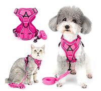 Ranphy No Pull Small Dog Harnesss and Leash Set Reflective Pet Step In Vest Escape Proof Puppy Cat Harnesses Breathable Adjusatble Chest Harness Walking Jacket for Outdoor Trainning