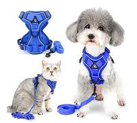 Ranphy No Pull Small Dog Harnesss and Leash Set Reflective Pet Step In Vest Escape Proof Puppy Cat Harnesses Breathable Adjusatble Chest Harness Walking Jacket for Outdoor Trainning