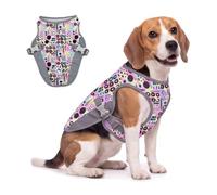 Ranphy Reflective Pet Cooling Vest for Small Medium Large Dogs, Pink, S