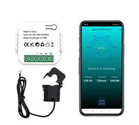 RANRAO Electricity Power Meter, Tuya for Smart Life ZigBee Energy Meter 80A with Current Transformer Clamp - Power Monitor Electricity Statistics