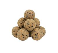 RANRHA 40 Pack Ultimate Fat Balls for Wild Birds - High Energy Suet Balls with Seeds & Nuts, Ideal for Year-Round Feeding, No Net, 3.2kg