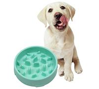 Ranvi Dog Feeder Slow Eat Pet Bowl Environmentally Friendly and Durable Non-toxic Prevention Choking Healthy Design Bowl for Dogs,Green