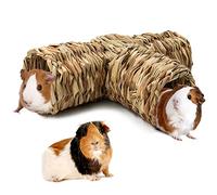 RANYPET Hamster Grass Tunnel Toy Natural Hideaway Guinea Pig Tunnels and Tubes Toys for Rats,Syrian Hamster,Ferrets,Guinea Pig,Chinchilla Hedgehog