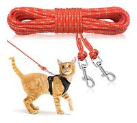 RANYPET Reflective Leash, 15M/50FT Escape Proof Personalized Cat Lead for Training and Playing, Long for Kitten, Puppy, Rabbit and Small Animals Orange