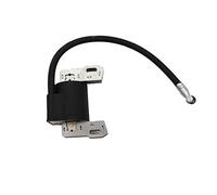 Raogoodcx Replaces Briggs & Stratton Electronic Ignition Coil Magneto Armature Fits 715231 799650 795315 690248