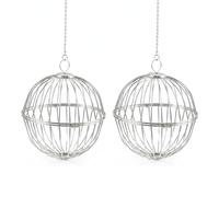 Raoletin Chicken Feeder 2 Pack Silver Metal Hanging Chicken Feeder, Poultry Veggie Treat Ball with Chain, Enrichment Feeding Toy for Hens, Fruit Veggie Holder for Coop, Garden and Backyard