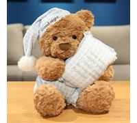 RAOPLA Bear Plushies, Cute Plush Pillow Toys, Soft Cotton Stuffed Animal Doll, Kawaii Squishy Cuddly Toys Hugging Bear for Kids Girls Girlfriend Sleeping Pillow Gift, 40cm (Style 1)