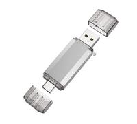 RAOYI 256GB USB C Flash Drive, 2 in 1 USB 3.0 Type C Dual OTG Metal Thumb Drive Jump Drive Memory Stick with Keychain Suitable for USB-C Smartphones, MacBook, Computers and Tablets (Silver)