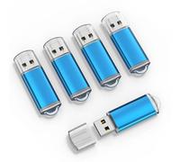 RAOYI 5 Pack 128GB USB Flash Drive USB 2.0 Memory Stick Bulk Thumb Drive Pen Drive Jump Drive-Blue