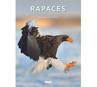 Rapaces, entre ciel et terre