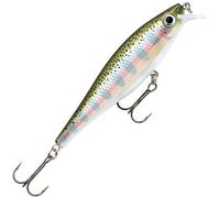 Rapala BX Minnow 10 Fishing Lure