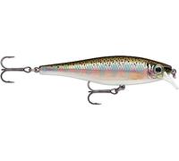 Rapala BX Minnow 10 Fishing Lure
