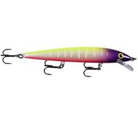 Rapala Husky Jerk 12 Moldy Fruit