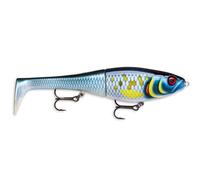 Rapala Unisex Adult X-Rap Peto Fishing Lure Artificial Bait with Soft Fishtail Freshwater Spinning Bait Running Depth 0.5-1m Fishing Lure 14 cm Made in Estonia Scaled Baitfsh, 14 cm / 39 g