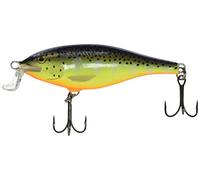 Rapala Rapala Shallow Shad Rap 07 Lure
