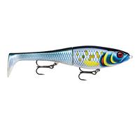 Rapala Unisex Adult X-Rap Peto Fishing Lure Artificial Bait with Soft Fishtail Freshwater Spinning Bait Running Depth 0.5-1m Fishing Lure 14 cm Made in Estonia Scaled Baitfsh, 14 cm / 39 g