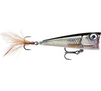 Rapala X-Lite Pop FNP4-ROL 1.8 inches (4.5 cm) / 0.16 oz (4.5 g) ROL (Lie Brooch)