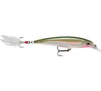 Rapala X-Rap Jerkbait 10 Fishing lure (Olive Green, Size- 4)