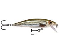 Rapala X-Rap Countdown Lure 5cm 4g - ROL Live Roach