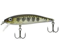 Rapala X-Rap CountDown Sinking Lure for Freshwater Fish Including Trout, Salmon, Perch, Zander and Pike.