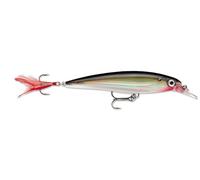 Rapala X-Rap Lure with Two No. 10 Hooks, 0.9-1.5 m Swimming Depth, 6 cm Size, Silver