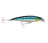 Rapala X-Rap Saltwater Fishing Lure (Blue Sardine, Size- 4)