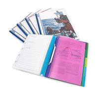 Rapesco 0668 Multi-Part Project File, A4, Transparent with Coloured Dividers, Pack of 5