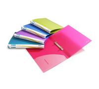 Rapesco 0799 15 mm 2-Ring Binder, 25 mm Spine, A4, Bright Transparent, Assorted