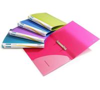 Rapesco 0799 2-Ring Binder, 25 mm Spine, A4, Assorted Colours, Pack Of 10
