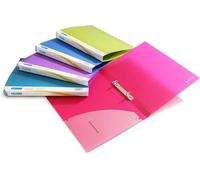 Rapesco 0799 2-Ring Binder, 25 mm Spine, A4, Assorted Colours, Pack of 10