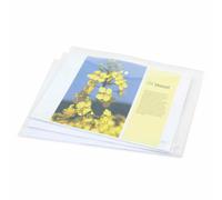 Rapesco 1042 folder