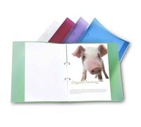 Rapesco 1044 ECO 2-Ring Binder, 40 mm Spine, A4, Assorted Colours, Pack of 10