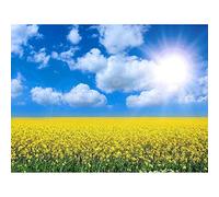 Rapeseed Field Blue Sky Yellow Art Print Poster Wall Decor 12X16 Inch
