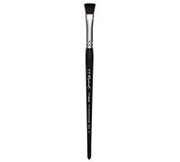 Raphael Brush 915 Softaqua Flat num. 10