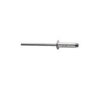 Rapid Rivets High Performance Ø4.8 x 10 mm 350 Pack