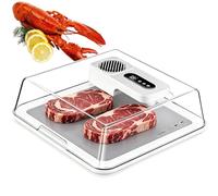 Rapid Defrosting Tray, Electric Food Defrosting Box with Airflow Technology, Quick Thawing Smart Thawing Mat for Steak Chicken Seafood White