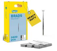 Rapid High Performance No.8 Galvanised Steel Brad Nails, Wire Length: 25 mm, 5000183 - 5600 Pieces