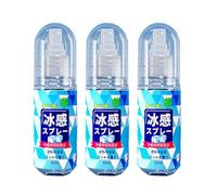 Rapid Relief Cooling Spray, Cooling Spray for Hot Weather, Heat Stroke Prevention Lasting Cool Mist for Clothes and Skin, Summer Cool Mist (3)
