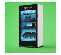 Rapid Shoe Drying Cabinet 60°C Electric Boot Dryer & Odor Eliminator 5-Layer Storage Rack(Four floors)