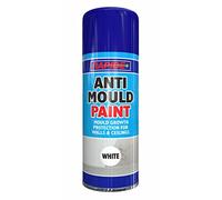 Rapide Anti Mould Spray Paint 2 x 400ml