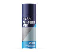 Rapide Anti Mould Spray Paint, 400 ml