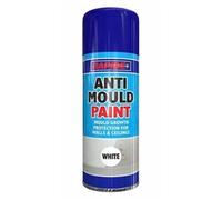 Rapide Anti Mould Spray Paint, 400 ml